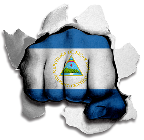 Fist Nicaragua Flag Logo iron on paper